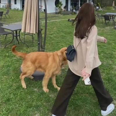 灵笼：研发记录